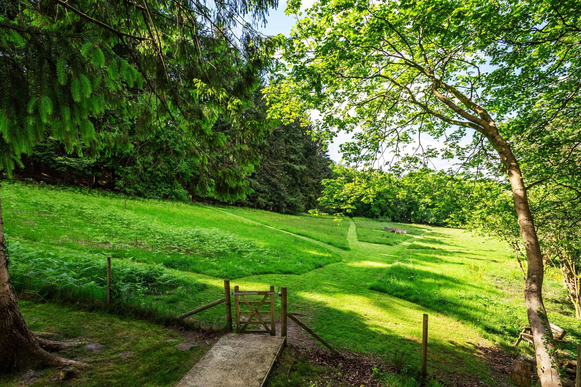 Lush green valley grounds and wooden gate leading through private country estate gardens, Love Locations GU27.