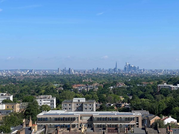 site image
