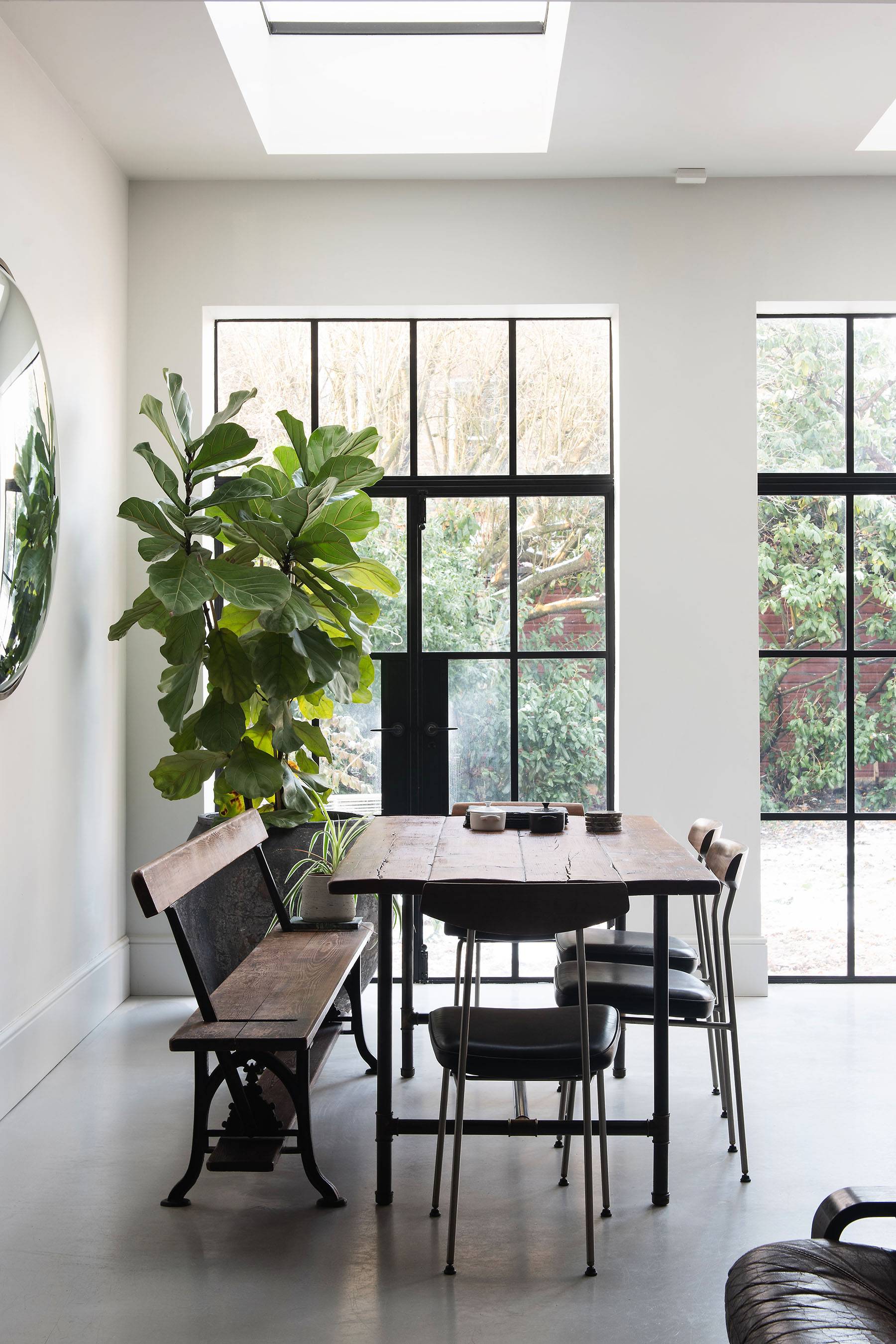 Sunlit dining area with wooden table, bench seating, large fiddle-leaf fig plant, and Crittall window framing, Love Locations SW16.