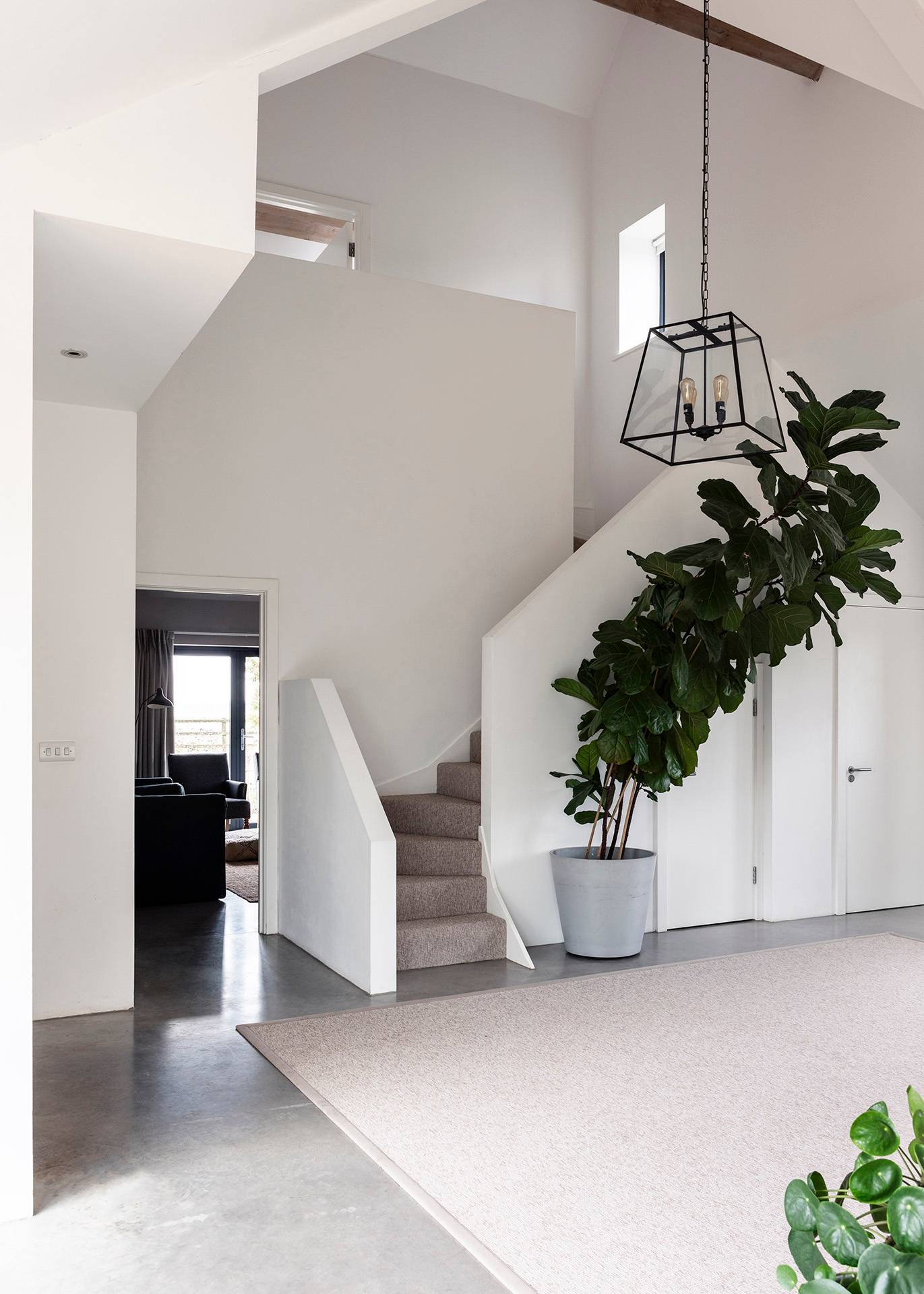Inner hallway entrance with white staircase, grey carpets, and large potted fiddle-leaf fig plant, Love Locations SN8.