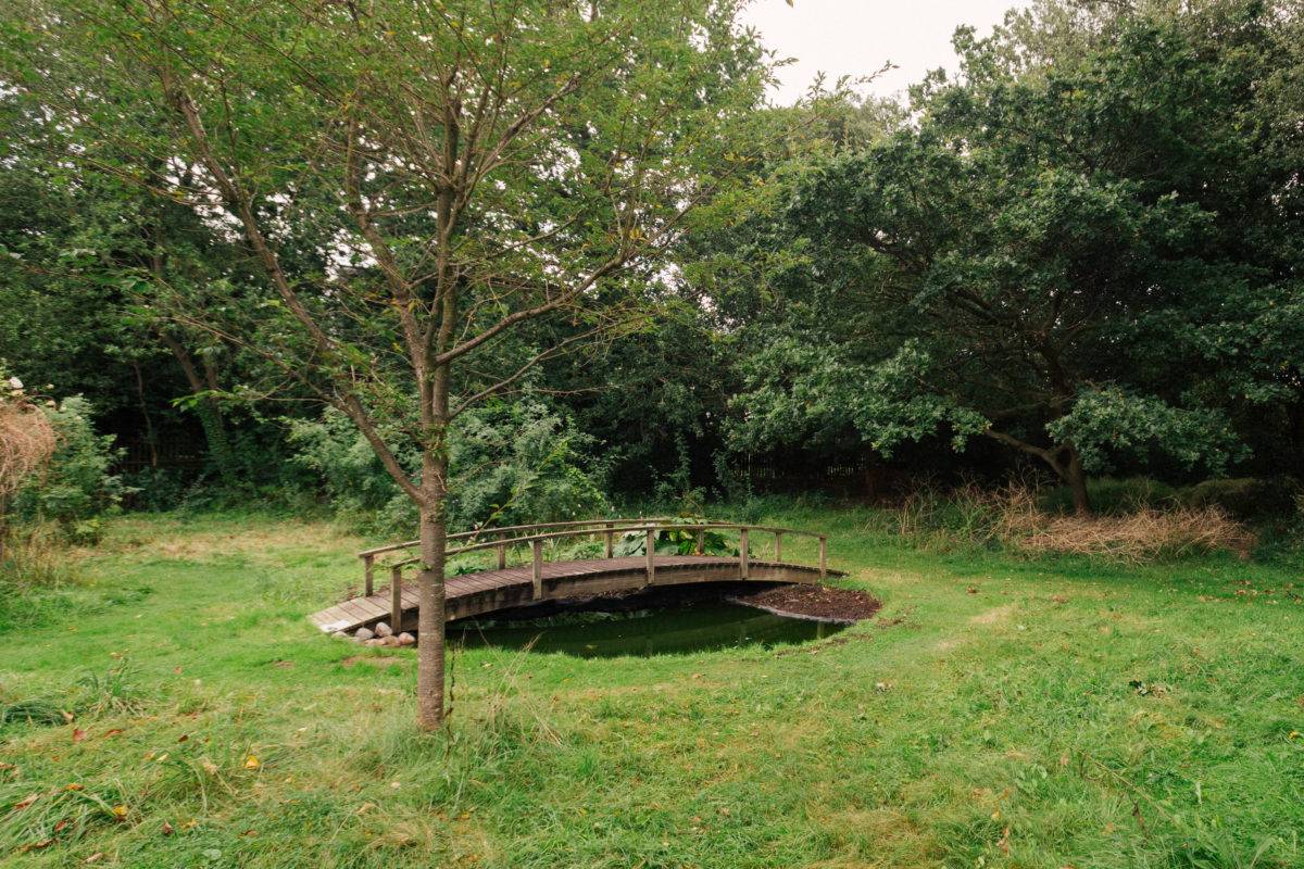 Rustic wooden footbridge over a natural garden pond surrounded by wild grass and woodland trees, ideal for outdoor lifestyle campaigns, Love Locations.