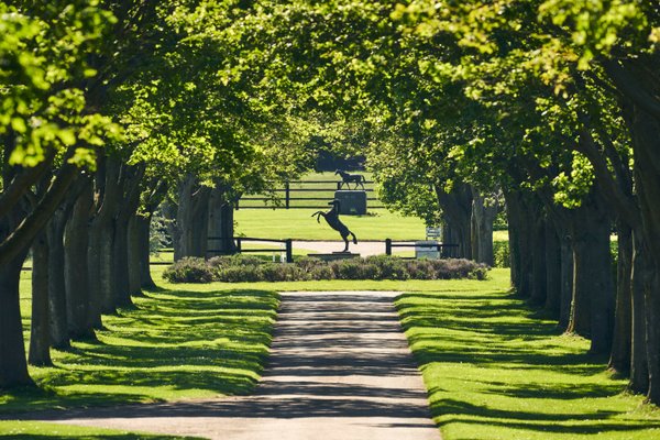 site image