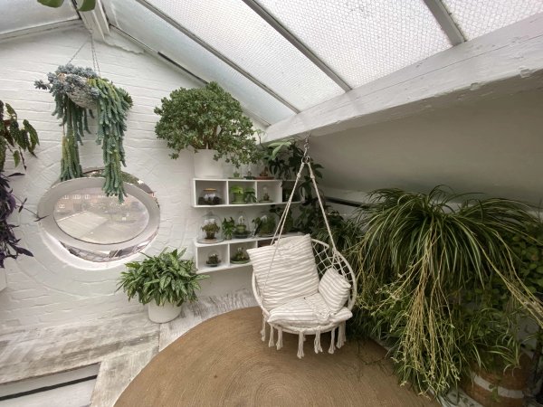 site image