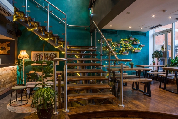 Architectural stairwell interior view showing warm wooden treads, teal feature walls, and tropical potted greenery at The Ritzy Cinema in Brixton, SW2, perfect for fashion editorials, Love Locations.