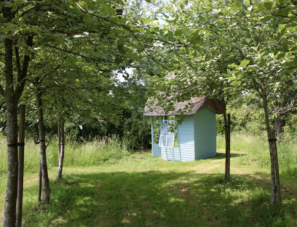 site image