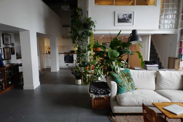 site image