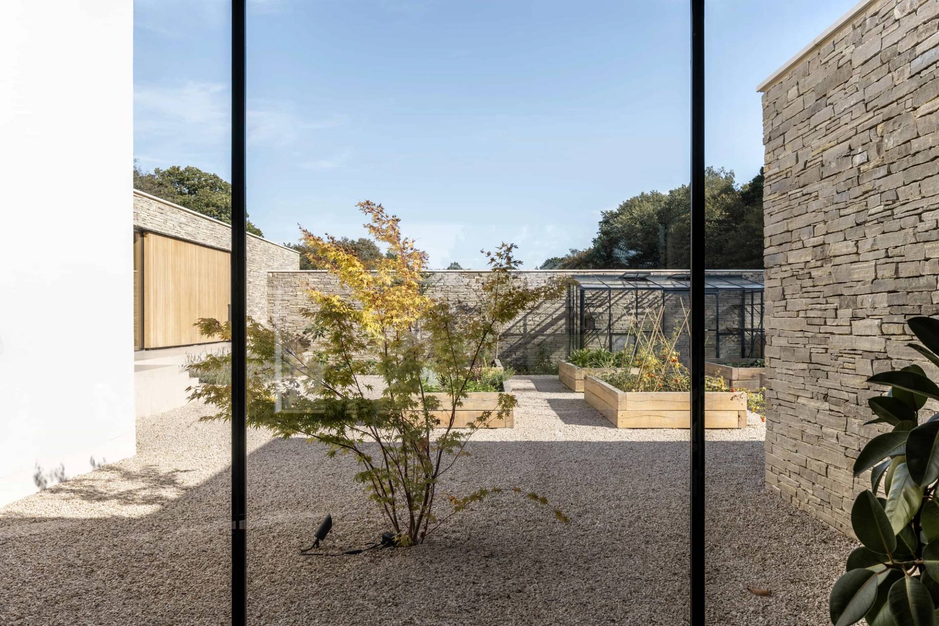 Enclosed modern courtyard garden featuring raised wooden planter beds, decorative gravel, and a sculptural tree viewed through massive glass walls, Love Locations.