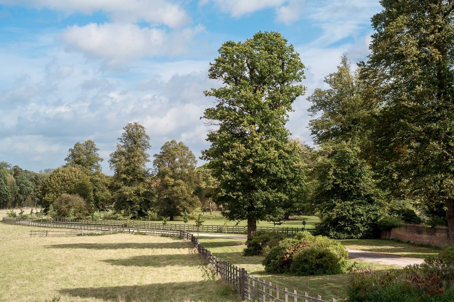 Expansive parkland pastures and mature timber trees on a private Hertfordshire estate location through Love Locations.