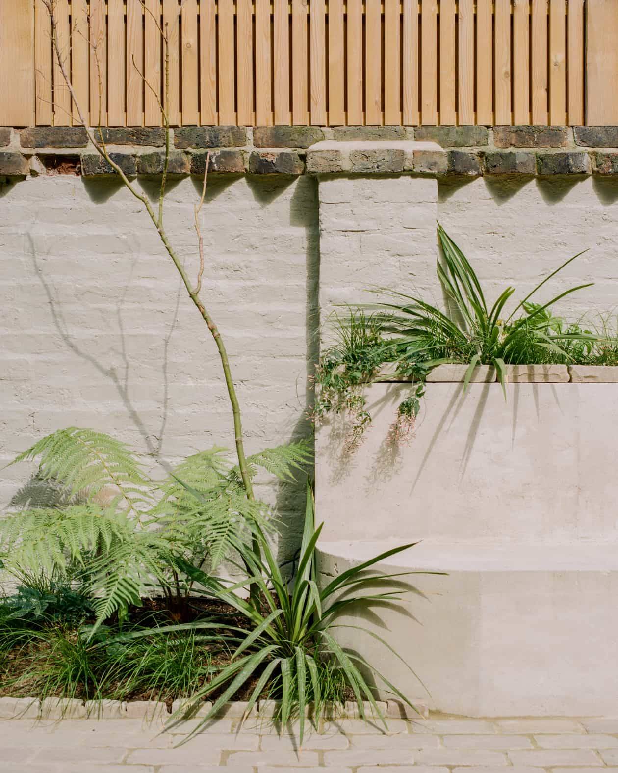 Secluded garden patio border with raised stone planters and lush green ferns against a white brick wall, Love Locations SW4.