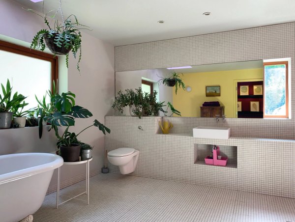 site image