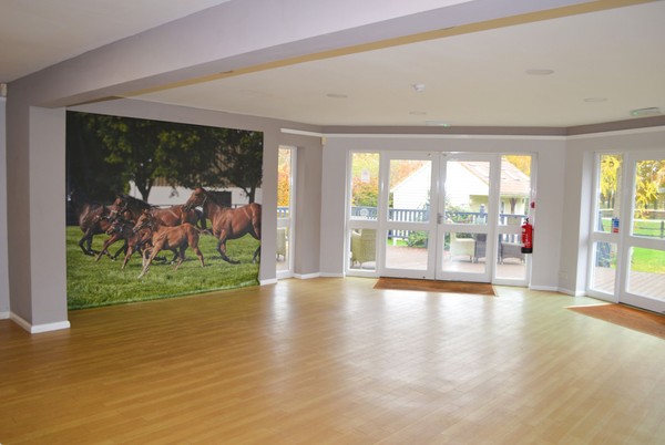 site image