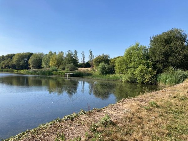 site image