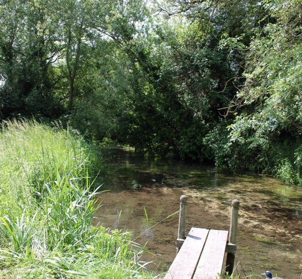 site image