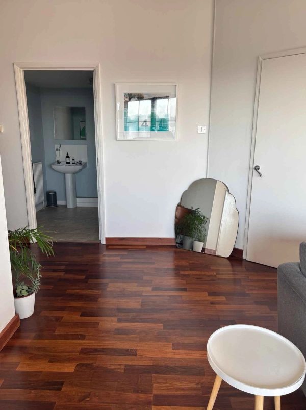 Upper Clapton E5 loft property with bright living space and terrace – Love Locations