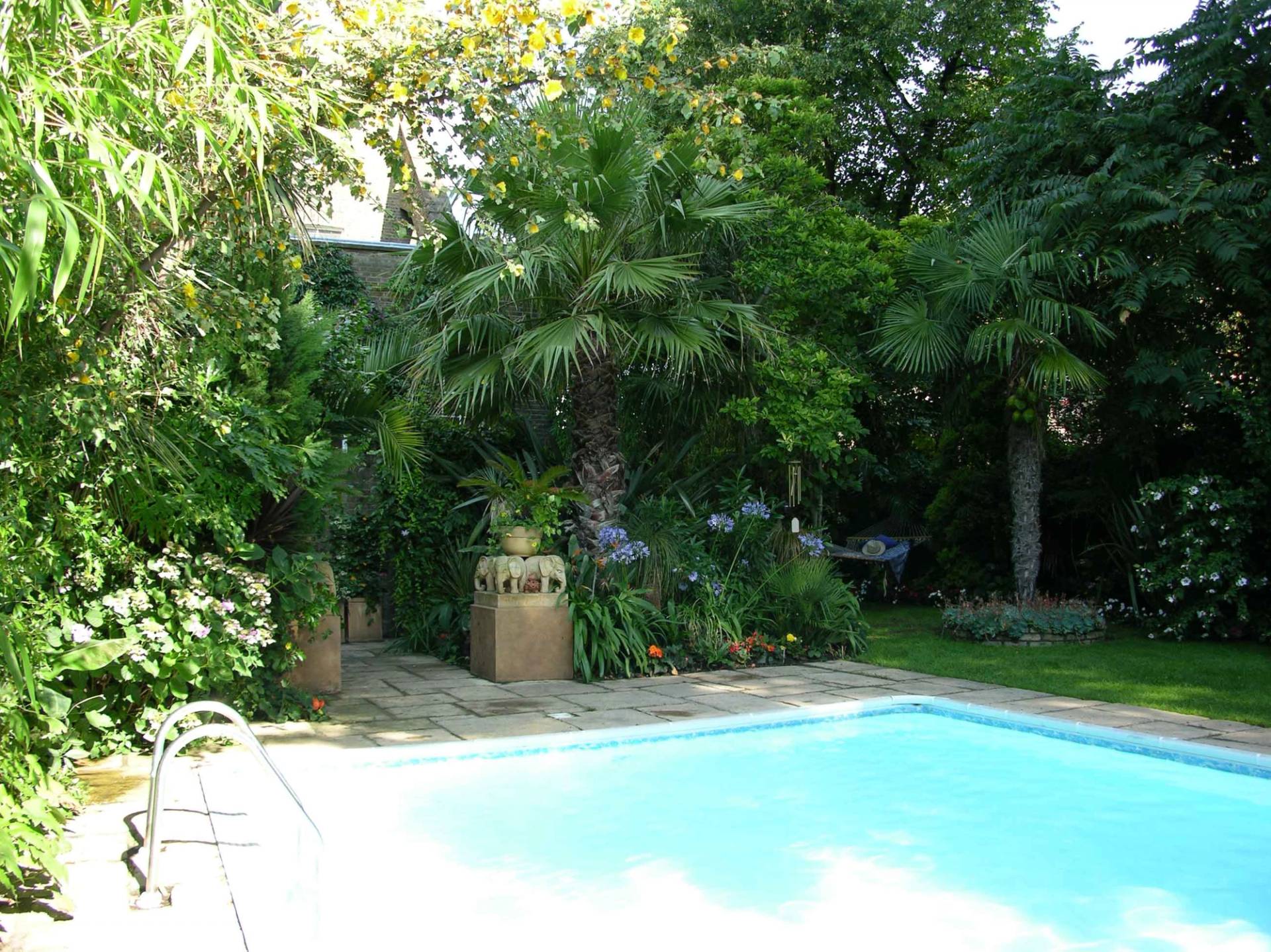 Private outdoor swimming pool bordered by palm trees, stone paving, and tropical foliage in Kensington and Chelsea, Love Locations.