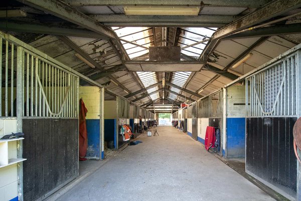 site image