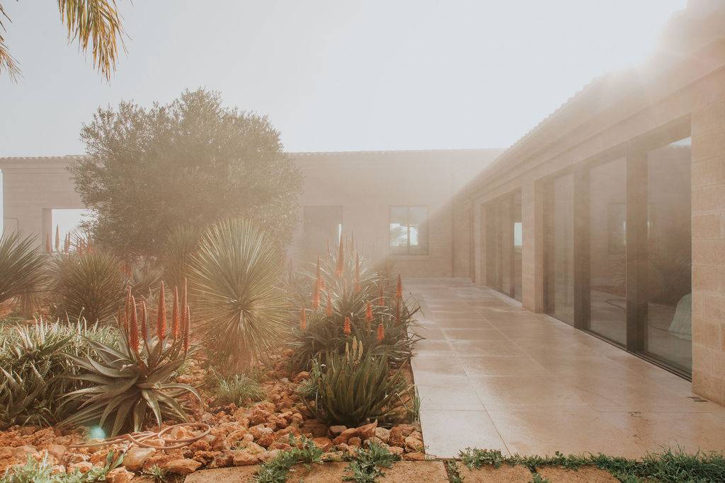 Stone pathway lined with desert succulents and cacti leading along a modern villa facade, Love Locations 07630.