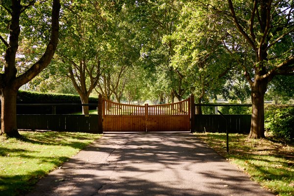 site image