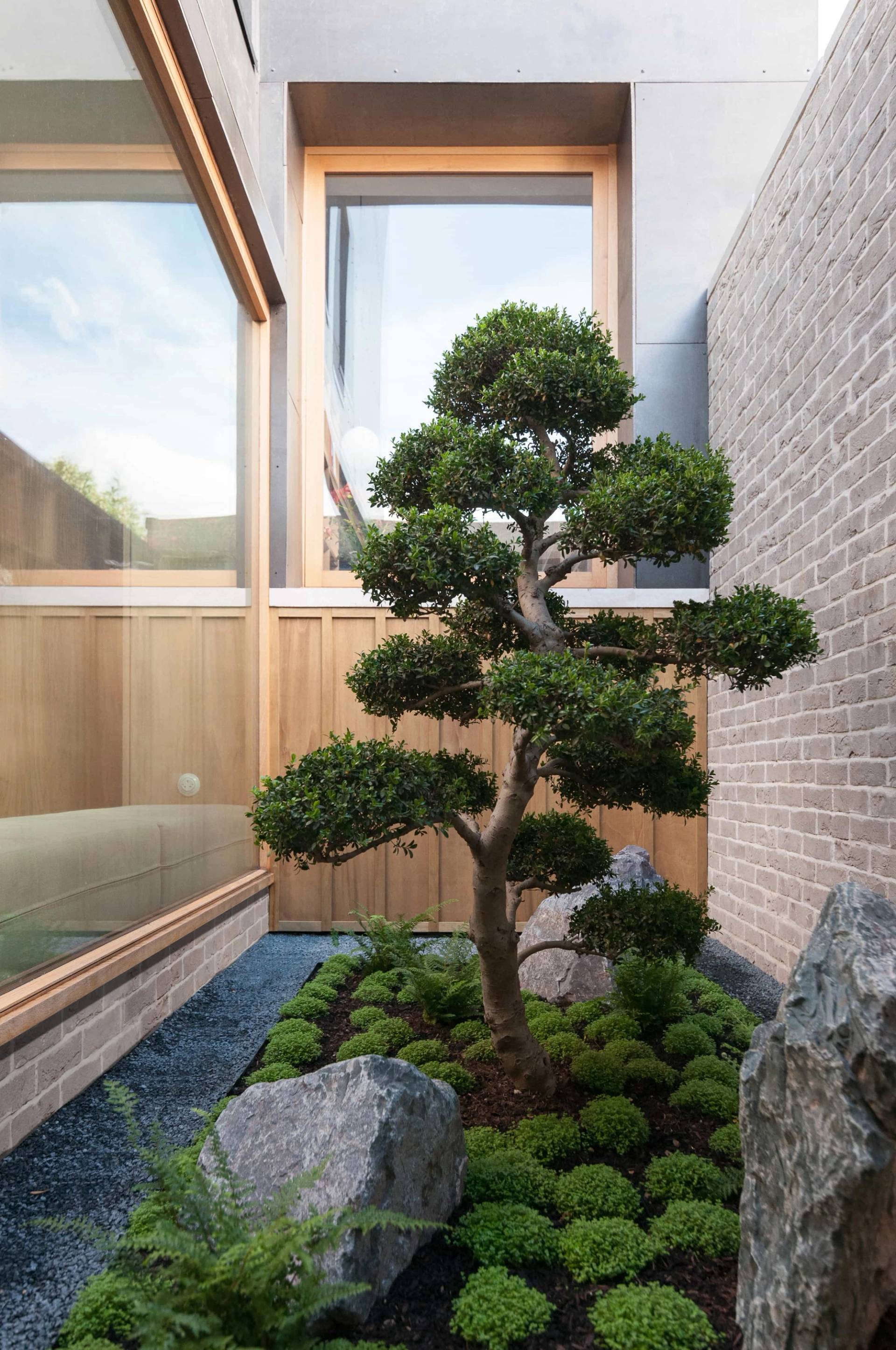 Japanese-style indoor courtyard garden film location in Hackney London N16 through Love Locations, featuring a manicured bonsai tree, gravel bed, and large glass windows.