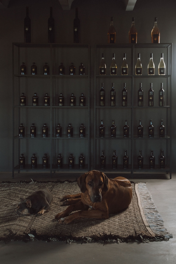 Custom wine cellar display rack featuring dark wood cubbies and integrated lighting, Love Locations 07630.