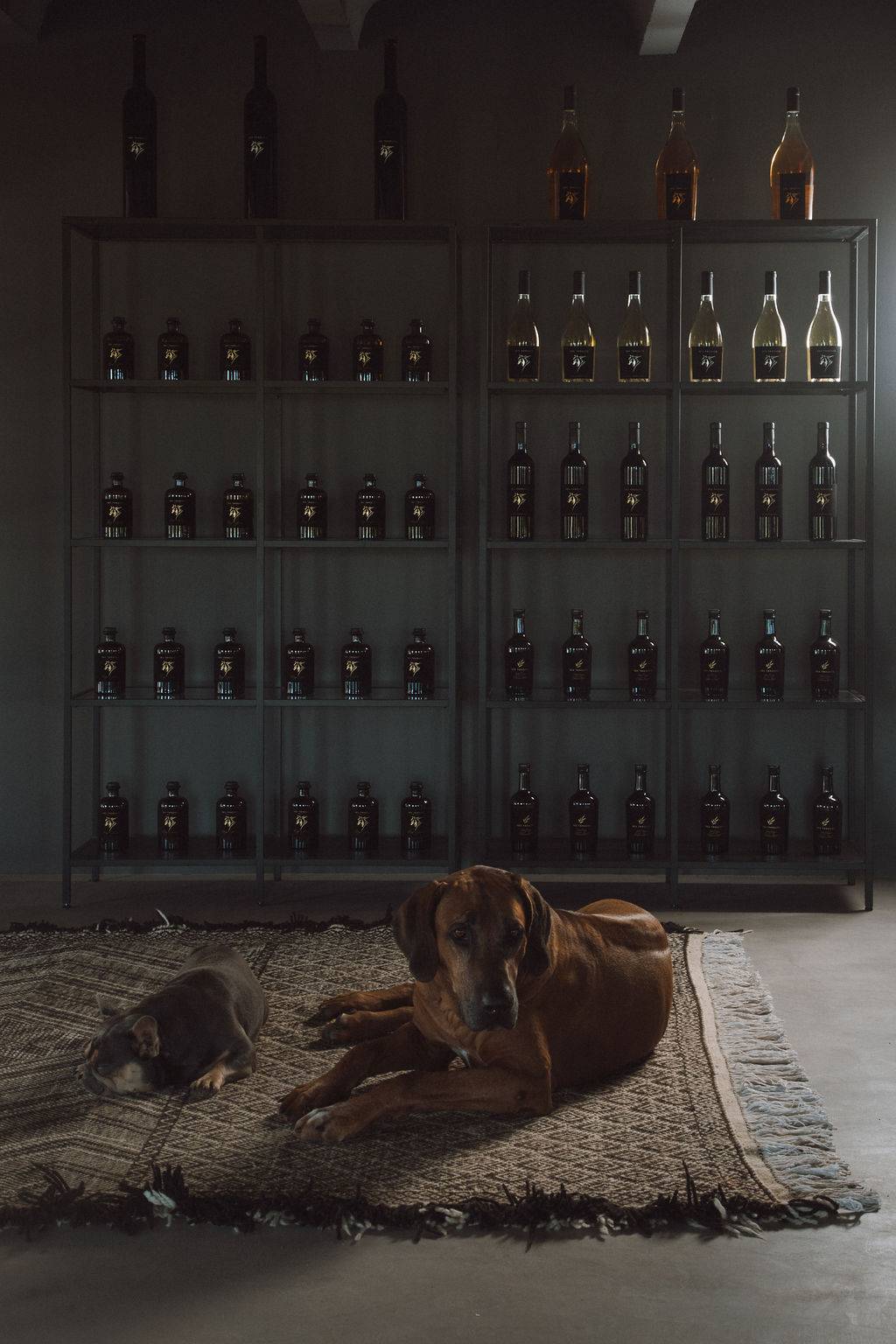 Custom wine cellar display rack featuring dark wood cubbies and integrated lighting, Love Locations 07630.