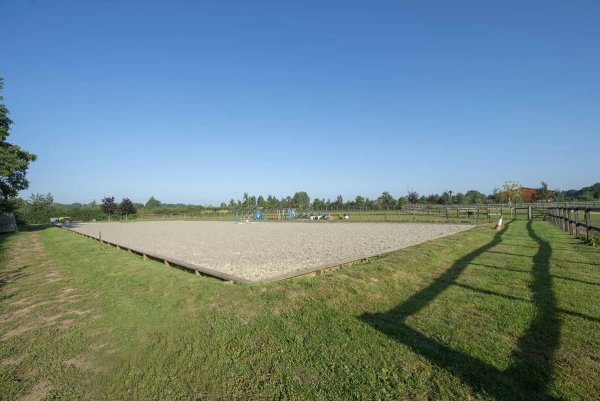site image