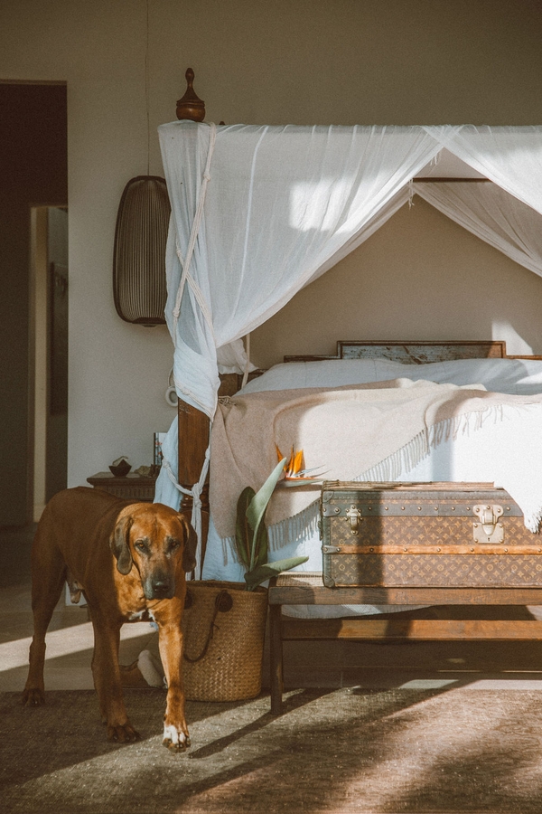 Master bedroom suite with a white four-poster canopy bed, neutral linens, and rustic wooden furniture, Love Locations 07630.