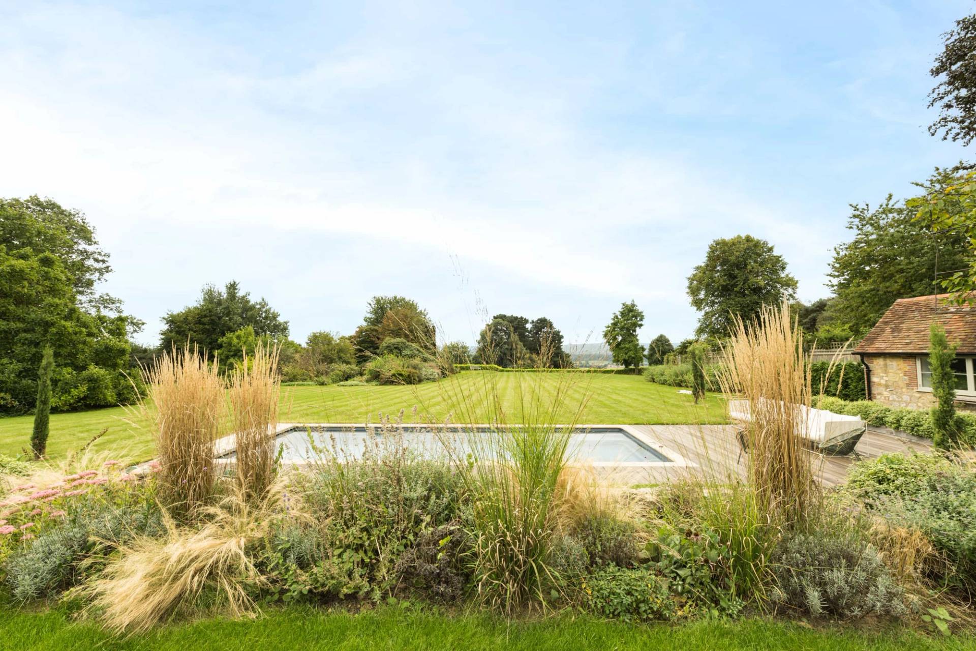 Outdoor swimming pool surrounded by ornamental grasses and views over South Downs countryside, Love Locations GU28.