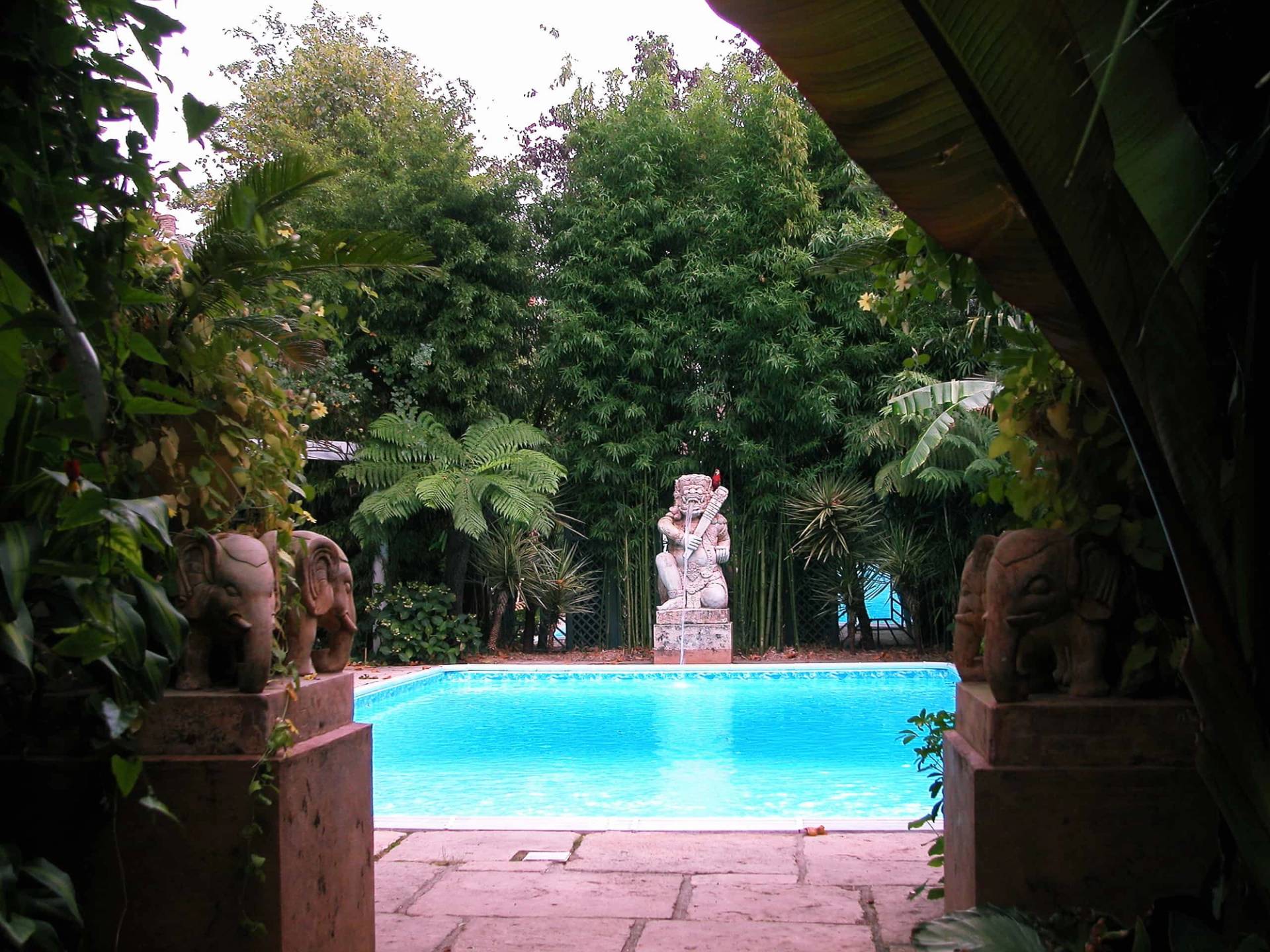 Poolside perspective framed by stone elephant pillars looking across an outdoor swimming pool toward tropical greenery, Love Locations SW5.