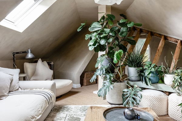 Bright attic living area with contemporary styling and indoor plants at Love Locations, Liss, Hampshire GU33.