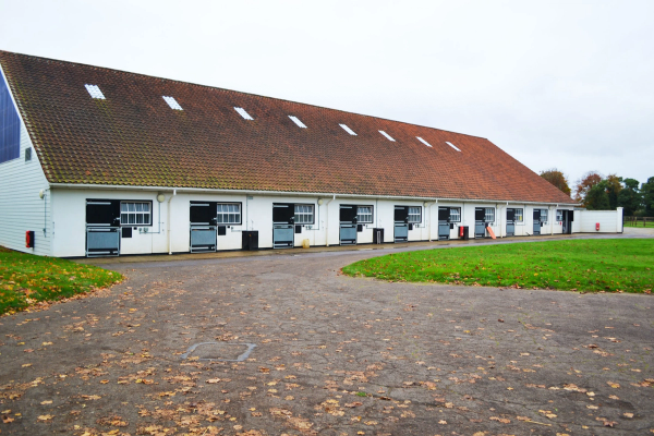 site image