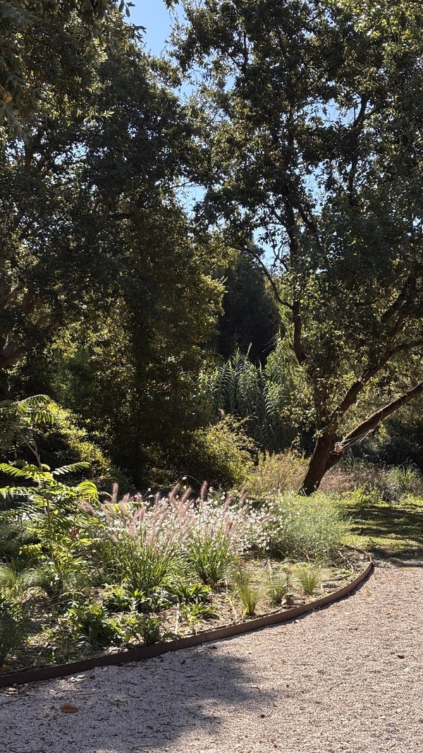 Lush green forest landscape and mature trees surrounding a private villa estate, Love Locations 2705-064.