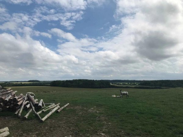 site image