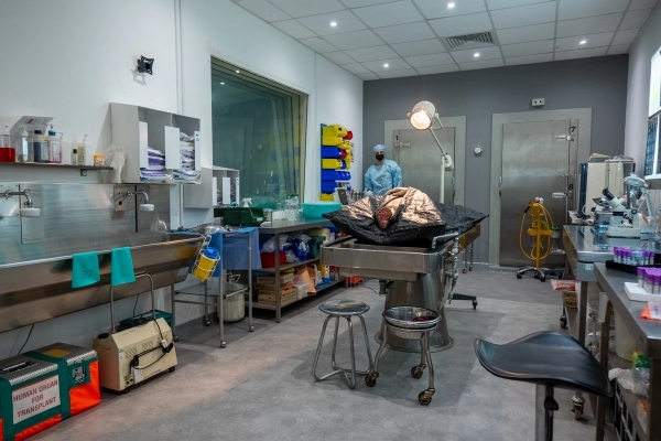 Operating room scrub sink area with stainless steel wash basins and observation glass, Love Locations UB4.