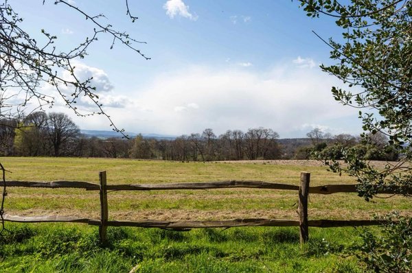 site image