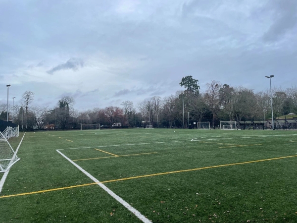 Love Locations multi-use games area Reading RG30: Vast outdoor artificial sports ground bordered by mature trees, a versatile backdrop for athletic brand ads and school yard filming.