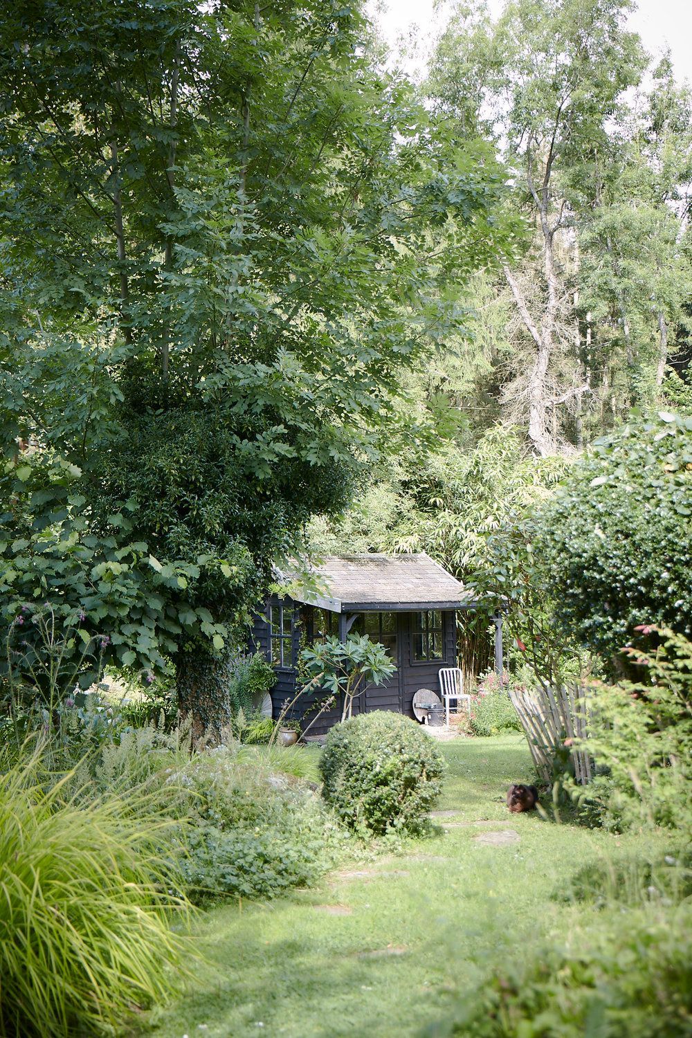 Forest Cottage, Surrey – A black timber-clad hideaway nestled in tranquil woodlands. The perfect rural setting for calm, nature-focused shoots.
