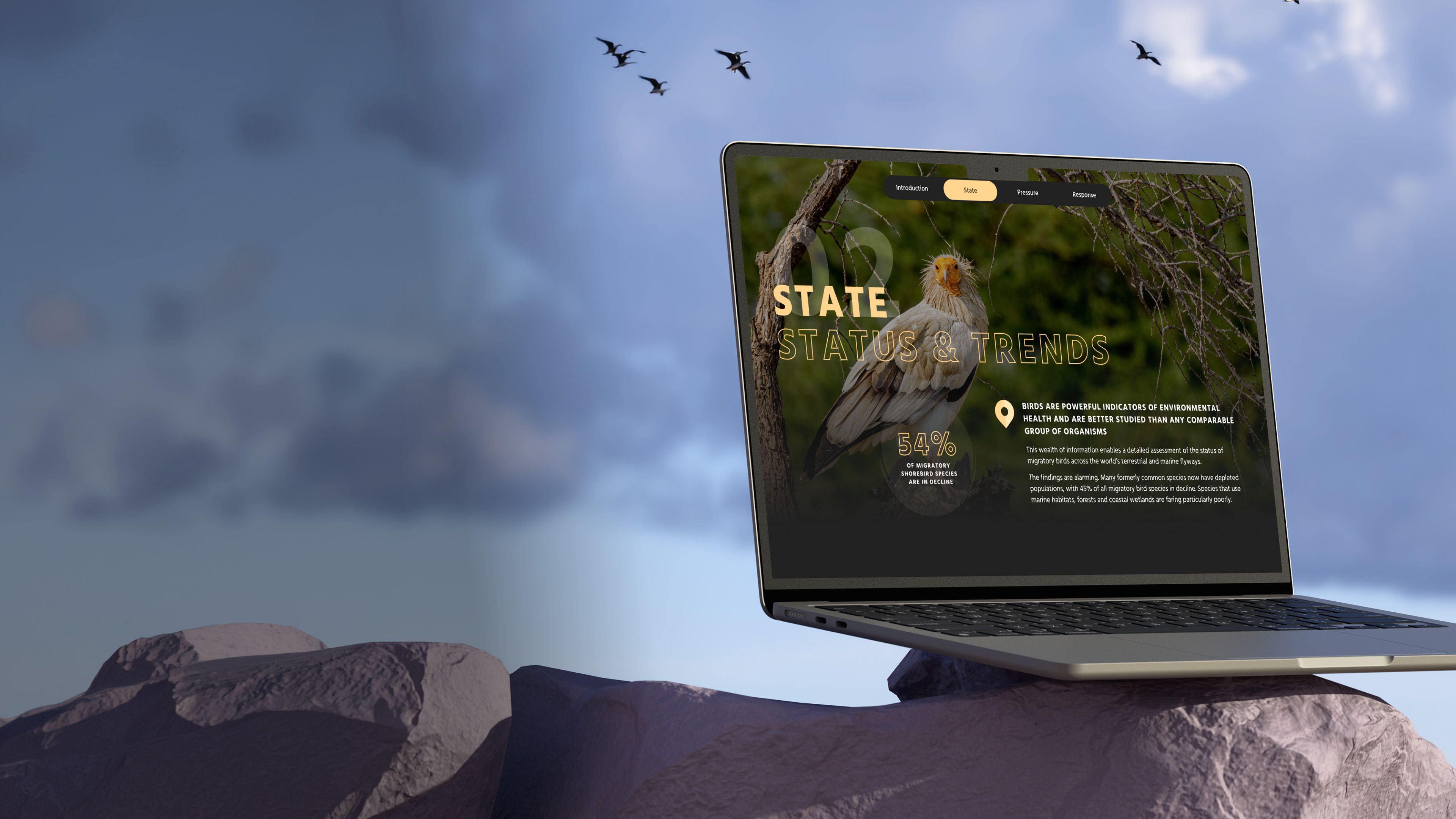State of the World's Birds on a laptop, showing a vulture and "54% of migratory shorebird species are in decline"