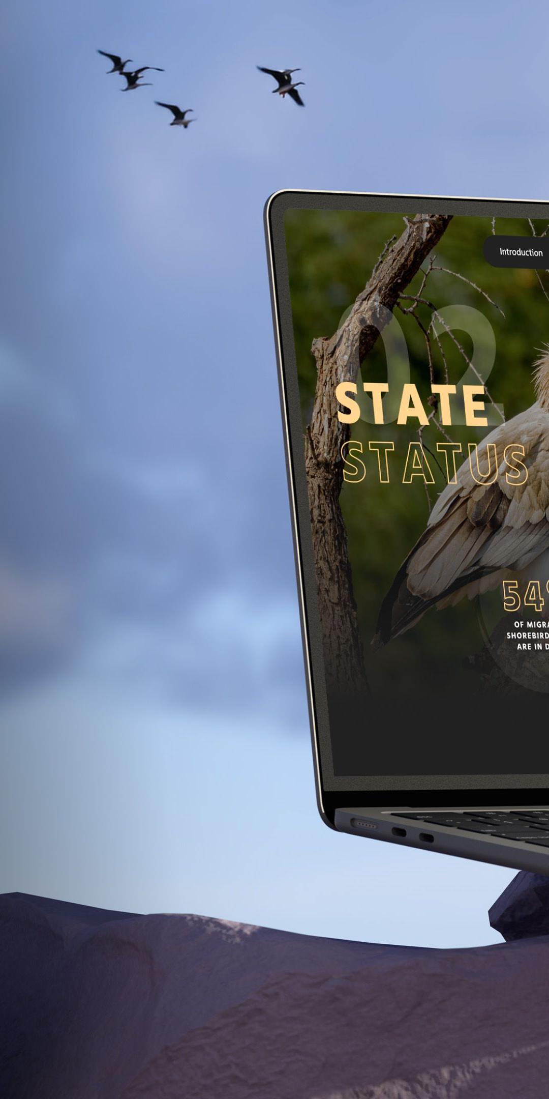 State of the World's Birds on a laptop, showing a vulture and "54% of migratory shorebird species are in decline"