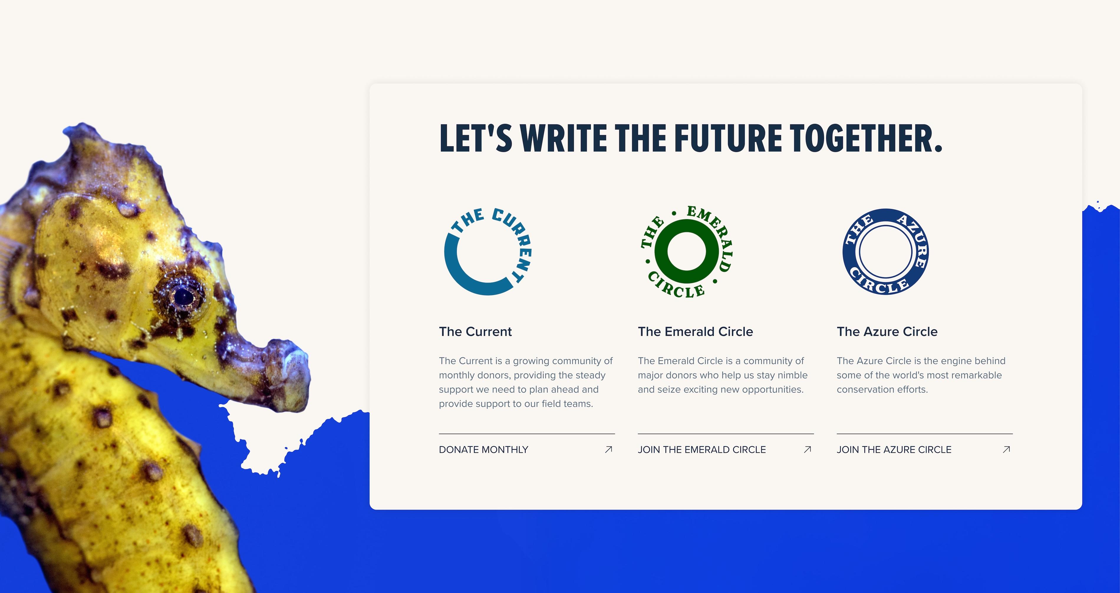 Conservation International donor section, "Let's write the future together.", with three giving circles beside a seahorse