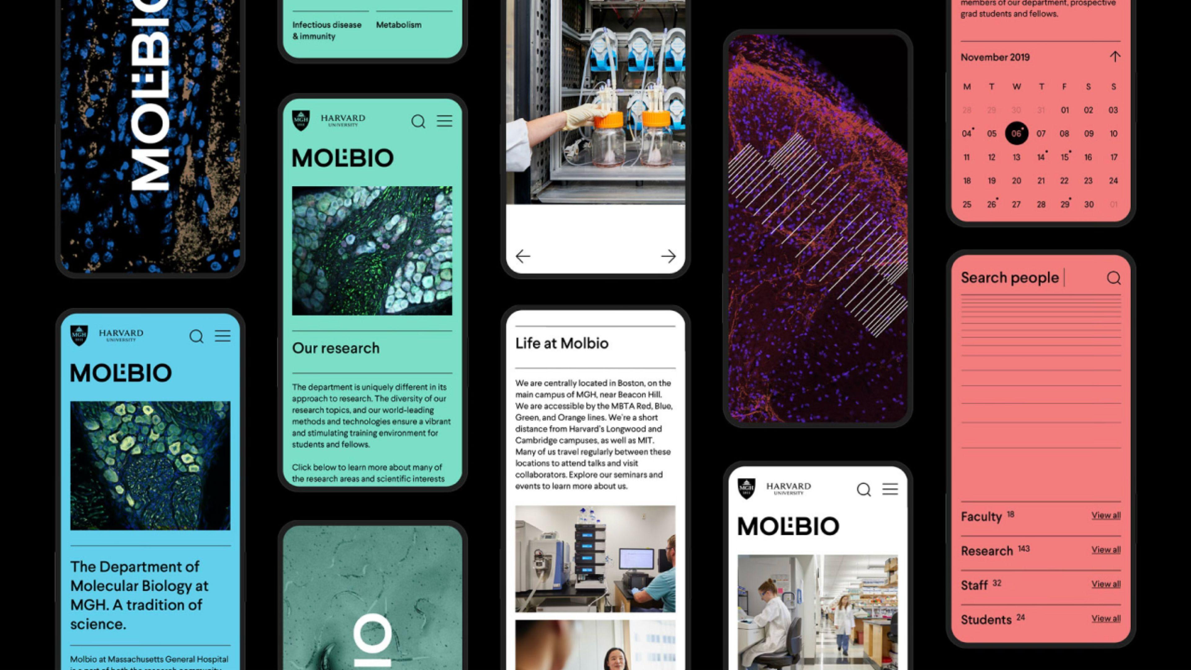 Grid of Molbio mobile screens for the Department of Molecular Biology, with research pages, an events calendar and people search