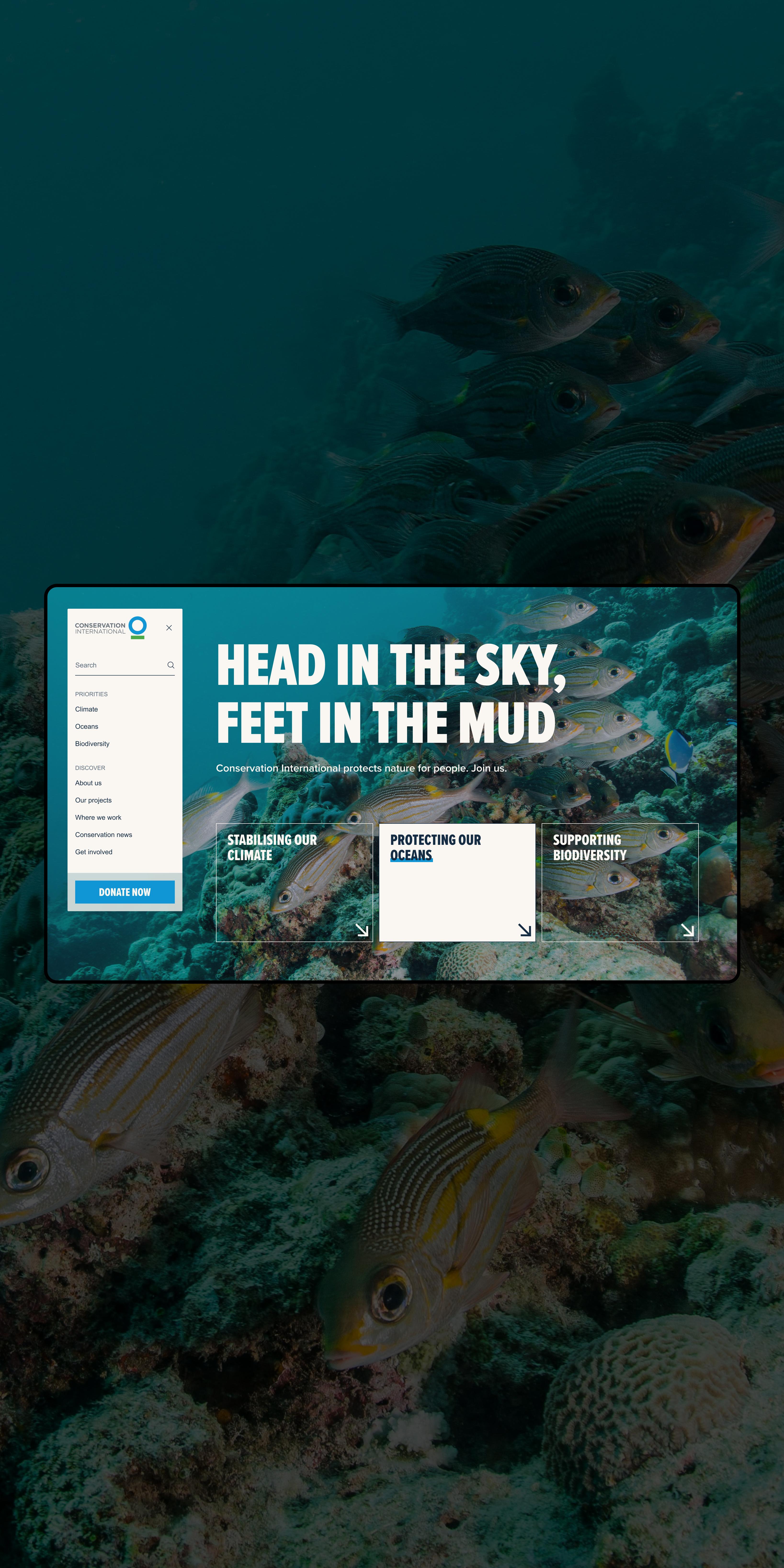 Conservation International homepage over an underwater reef, headlined "Head in the sky, feet in the mud"