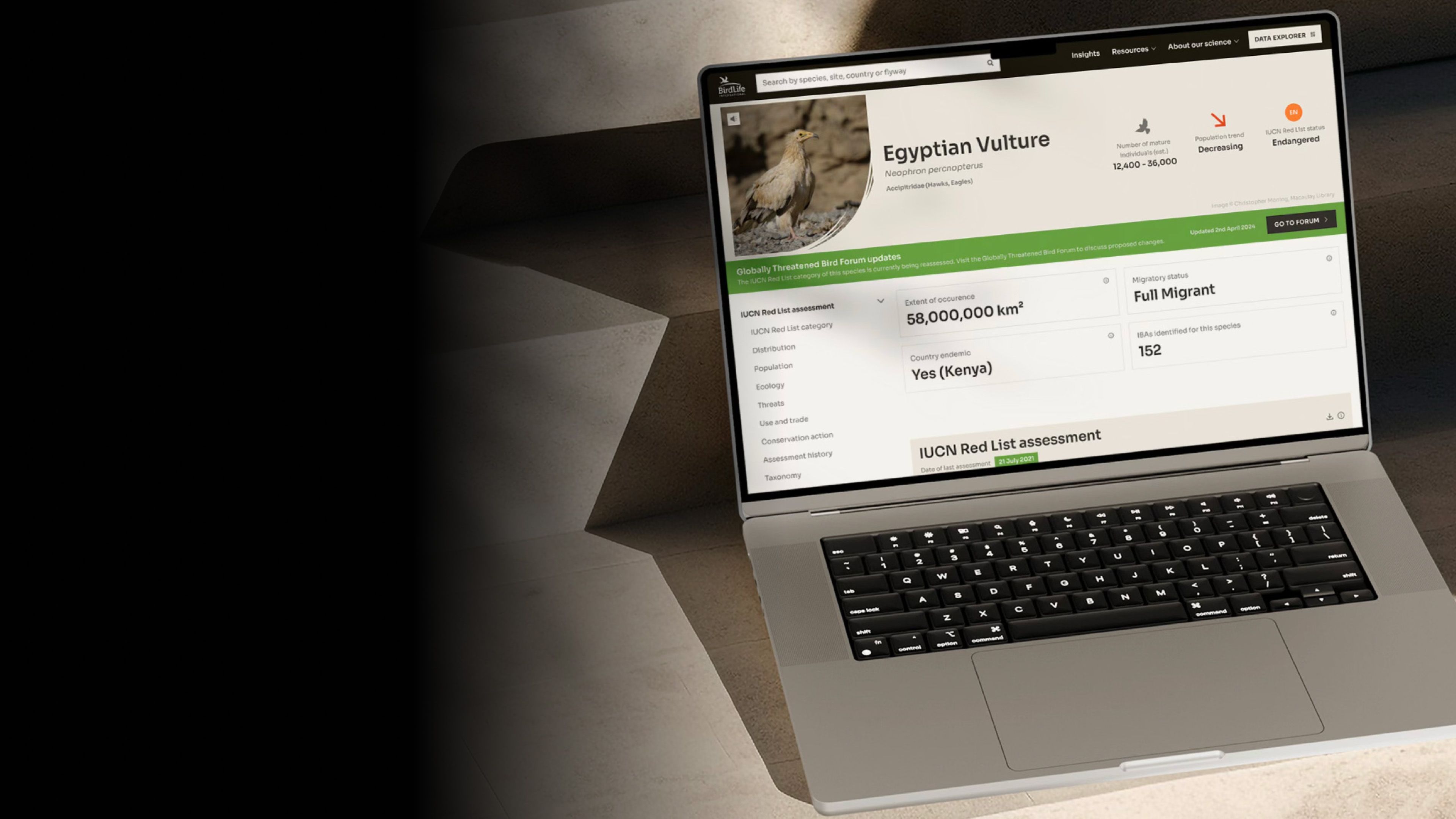 BirdLife data platform on a laptop, showing the Egyptian Vulture species page with its Endangered status