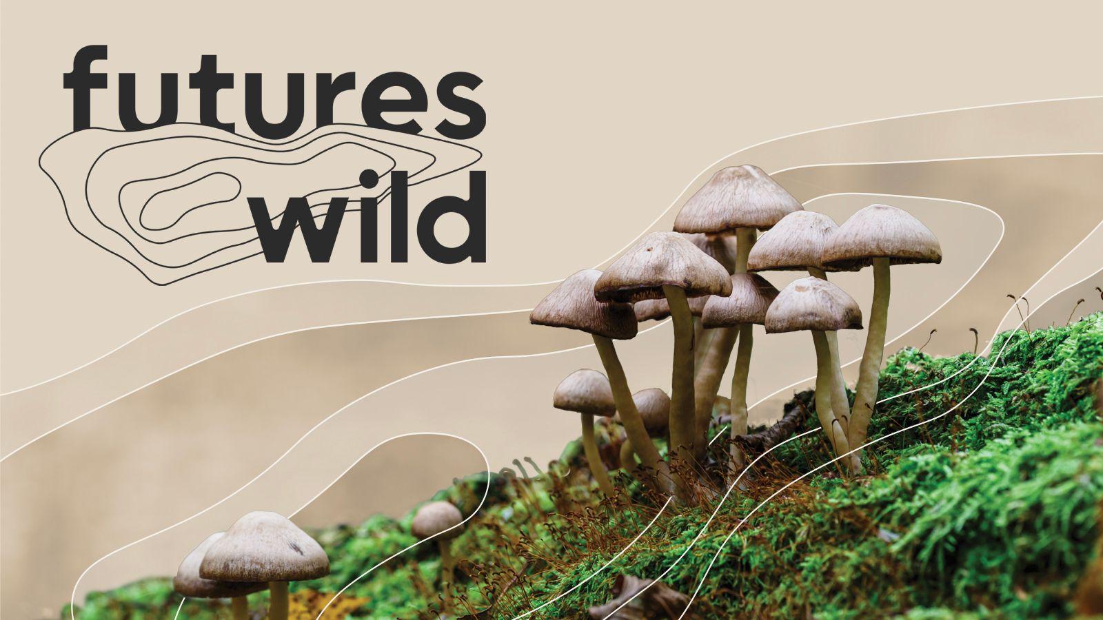 Futures Wild logo with contour lines beside a cluster of mushrooms growing from moss