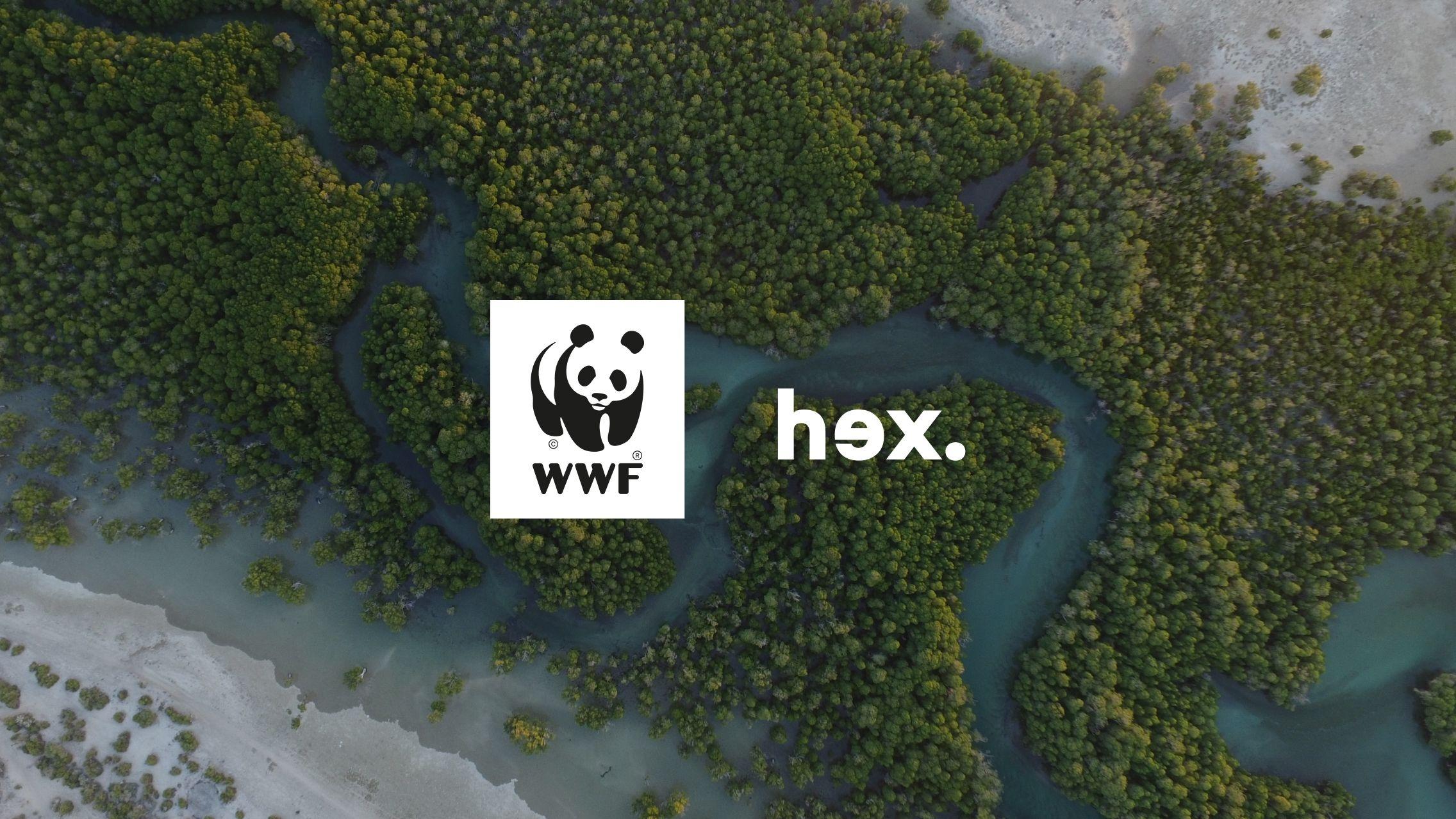 WWF panda logo and Hex logo over an aerial view of a river winding through mangrove forest