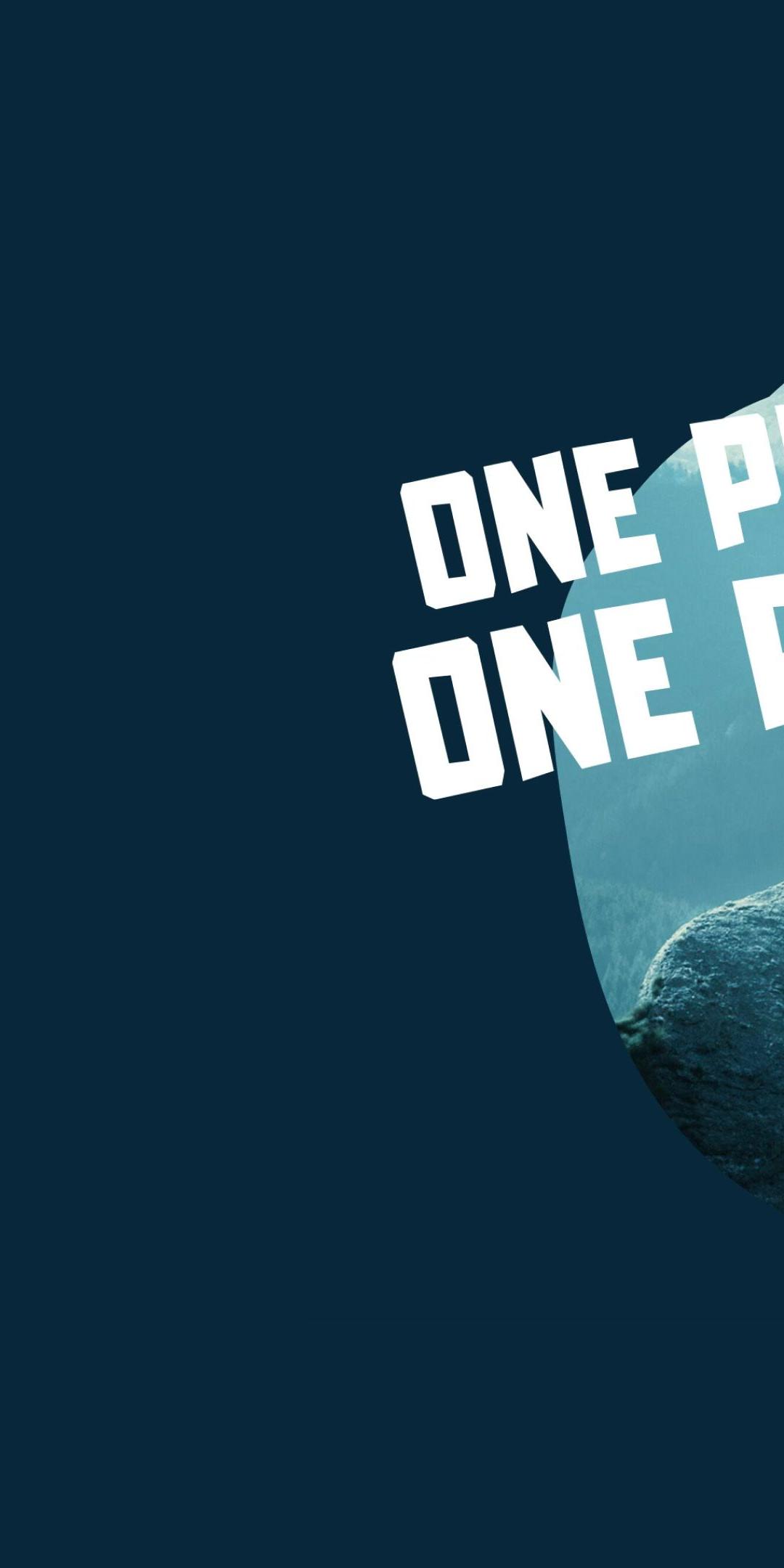Campaign artwork reading "One Planet One Right" over a person on a mountain peak, with bird shapes in flight
