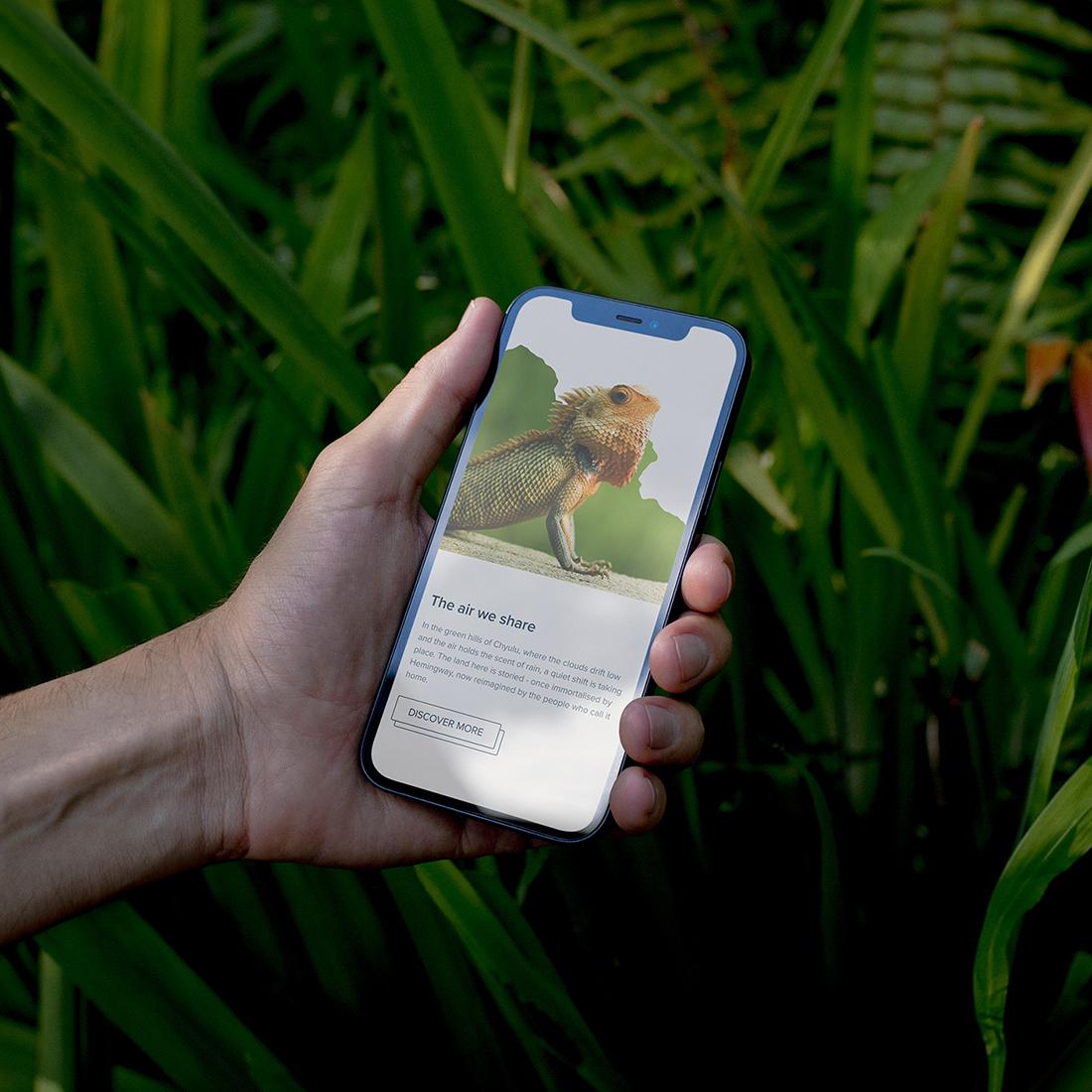 Hand holding a phone among ferns, showing a Conservation International story, "The air we share", with a lizard photo