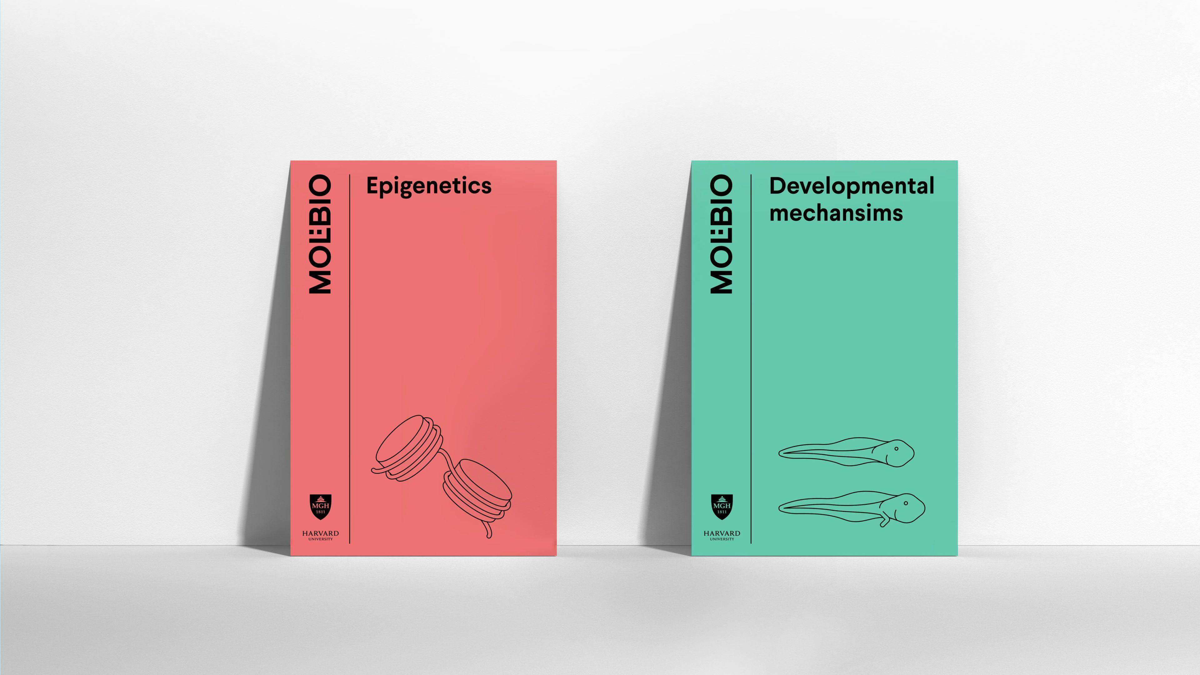 Two Molbio posters, Epigenetics in coral and Developmental mechanisms in green, each with a line illustration
