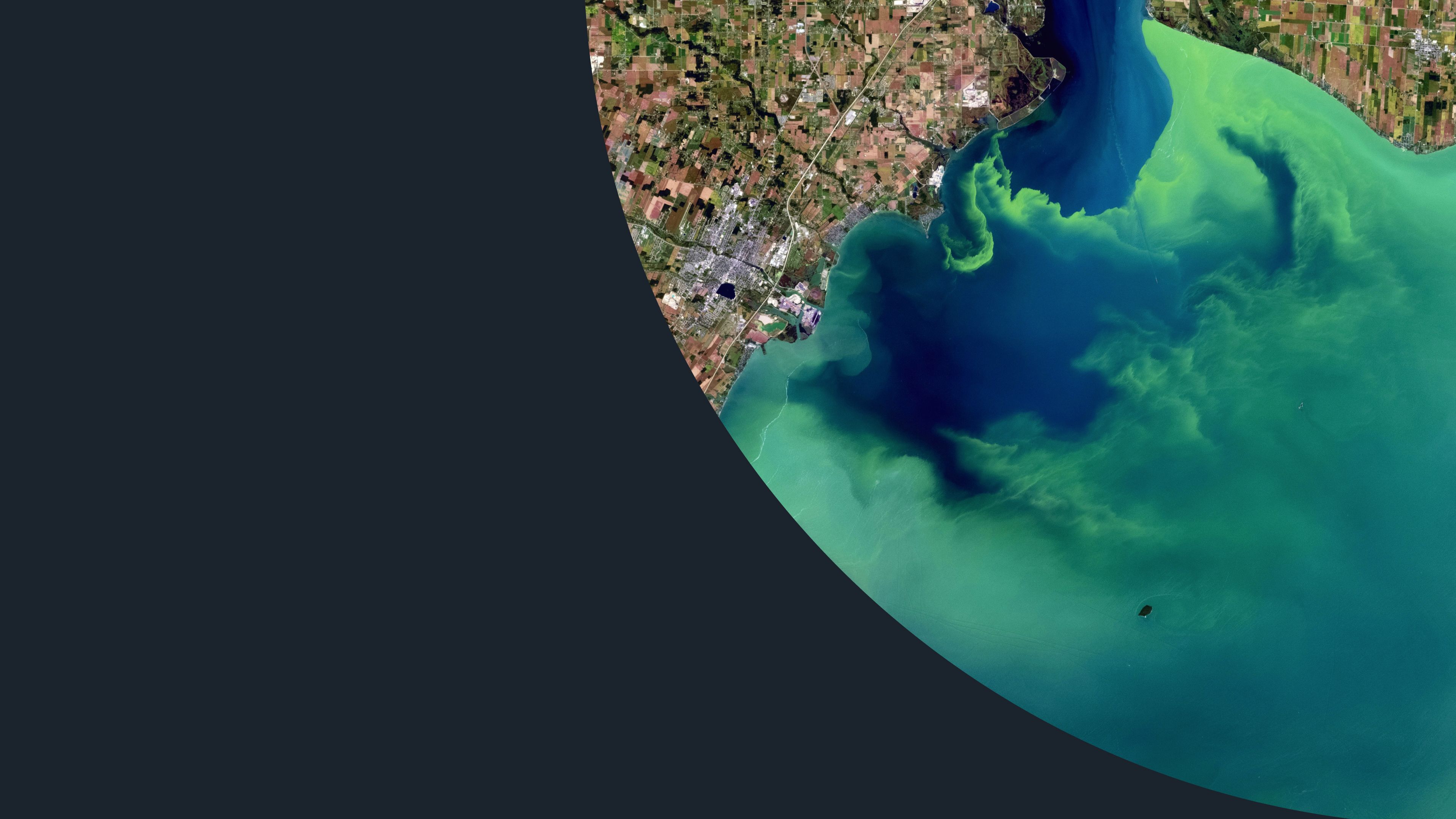 Satellite view of a coastline with green algae swirling through blue water, framed by a large curve