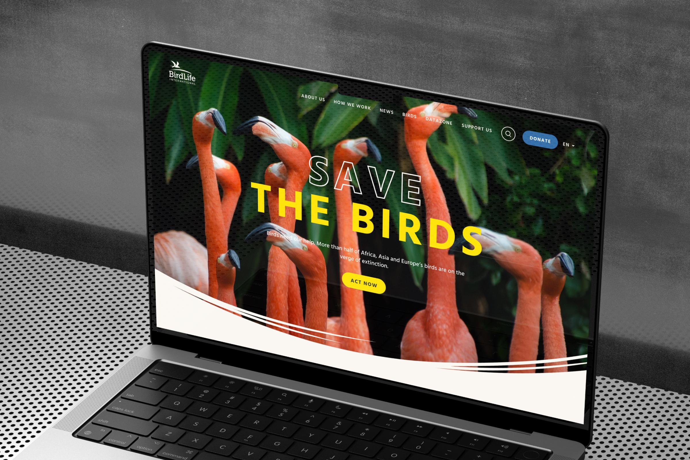 BirdLife International homepage on a laptop, with flamingos behind the headline "Save the birds"
